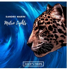 Sandro Marini - Metro Lights (Original Mix)