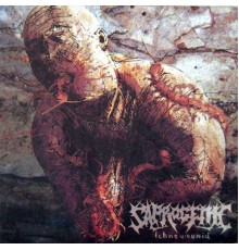 Saprogenic - Ichneumonid