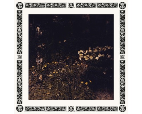 Sarah Davachi - Pale Bloom