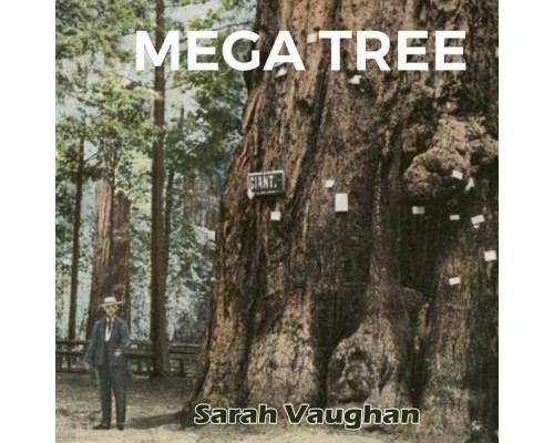 Sarah Vaughan - Mega Tree