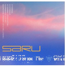 Saru - Terminal - EP