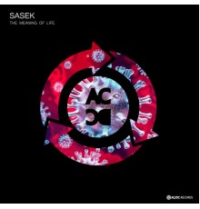 Sasek - The Meaning Of life