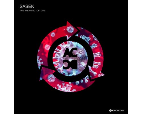 Sasek - The Meaning Of life