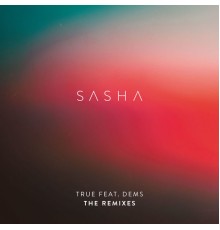 Sasha - True