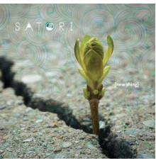 Satori - New Thing