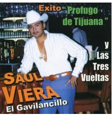 Saul Viera - El Gavilancillo