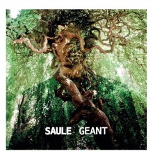 Saule - Géant