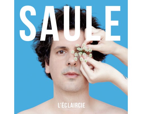 Saule - L'Eclaircie