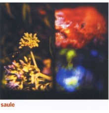 Saule - Saule