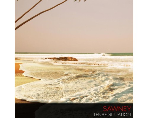 Sawney - Tense Situation (Original Mix)