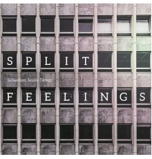 Sébastien Joulie - Split Feelings