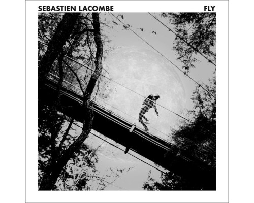 Sébastien Lacombe - Fly