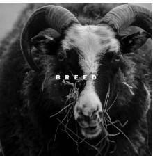 Scapegoat - Breed