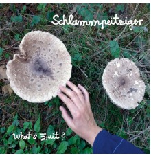 Schlammpeitziger - What's Fruit