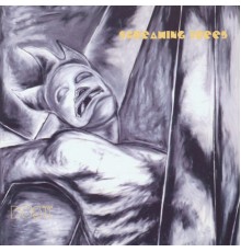 Screaming Trees - Dust