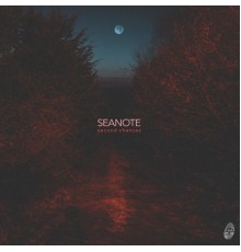 Seanote - Second Chances