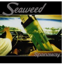 Seaweed - Spanaway