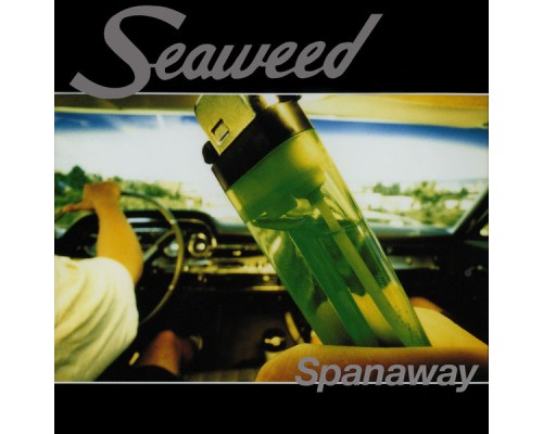 Seaweed - Spanaway