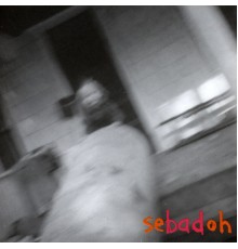 Sebadoh - Rocking The Forest