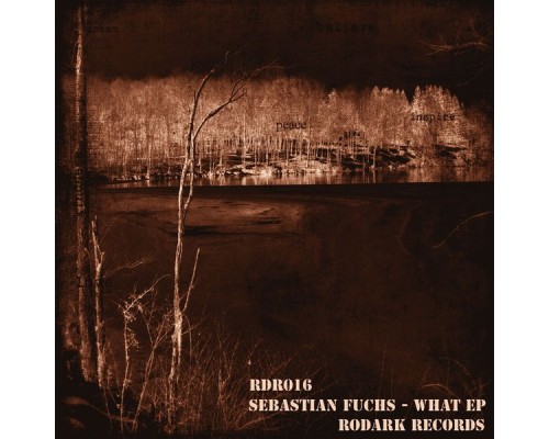 Sebastian Fuchs - What EP