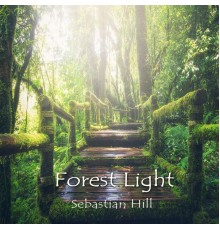 Sebastian Hill - Forest Light