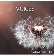 Sebastian Hill - Voices