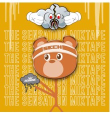 Sech - The Sensation Mixtape