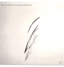 Seconds in Formaldehyde - II