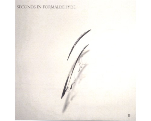 Seconds in Formaldehyde - II