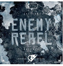 Section - Enemy Rebel (Original Mix)