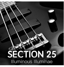 Section 25 - Illuminous Illuminae