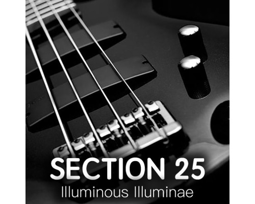 Section 25 - Illuminous Illuminae