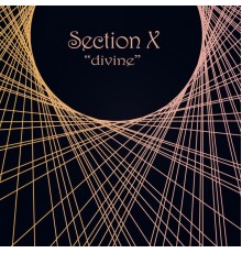 Section X - Divine