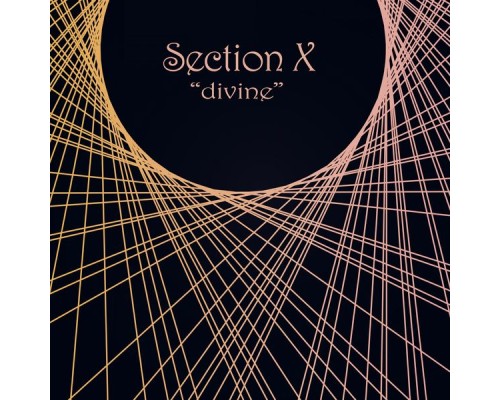 Section X - Divine