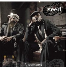 Seed - Germinating