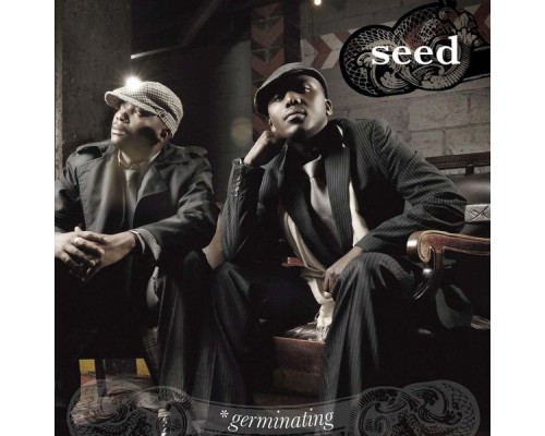 Seed - Germinating