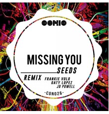 Seeds - Missing You