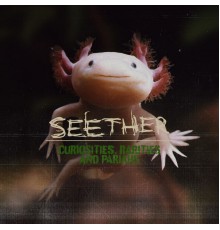 Seether - Curiosities, Rarities And Pariahs