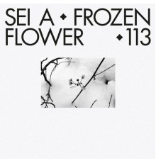 Sei A - Frozen Flower