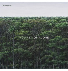 Semisonic - You're Not Alone