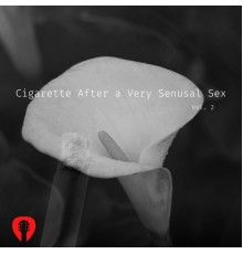 Sensual Guitar Loving, AP - Cigarette After a Very Senusal Sex (Beutiful Instrumental Soothing Music) Vol. 2