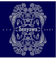 Senyawa - Acaraki