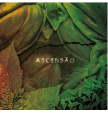 Serena Assumpção - Ascensão