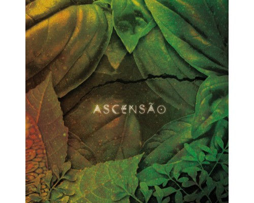 Serena Assumpção - Ascensão