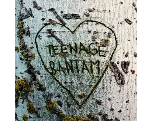 Sesentay6 - Teenage Bantam