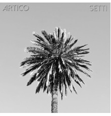 Setti - Artico