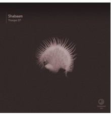 Shabaam - Thoope EP (Original Mix)