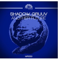 Shadow Gruuv - Another Future