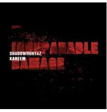 Shadow Huntaz & Kareem - Irreparable Damage