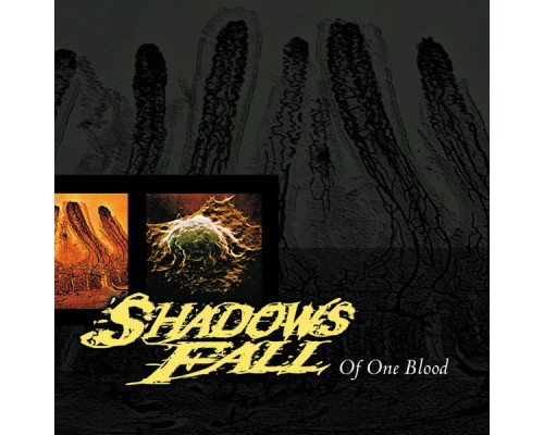 Shadows Fall - Of One Blood